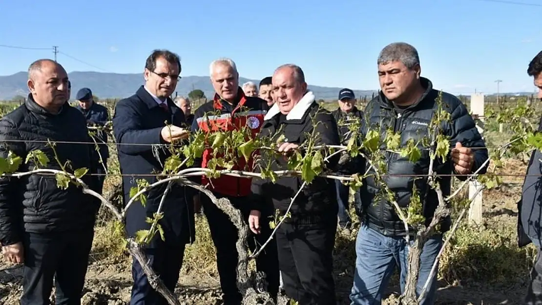 Kaymakam Güldoğan, don afeti yaşayan bağları yerinde inceledi