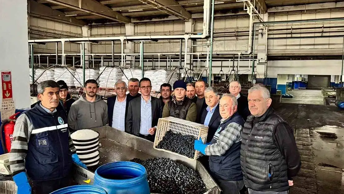 Kaymakam Karaman İznik Zeytin Kooperatifi'ni ziyaret etti