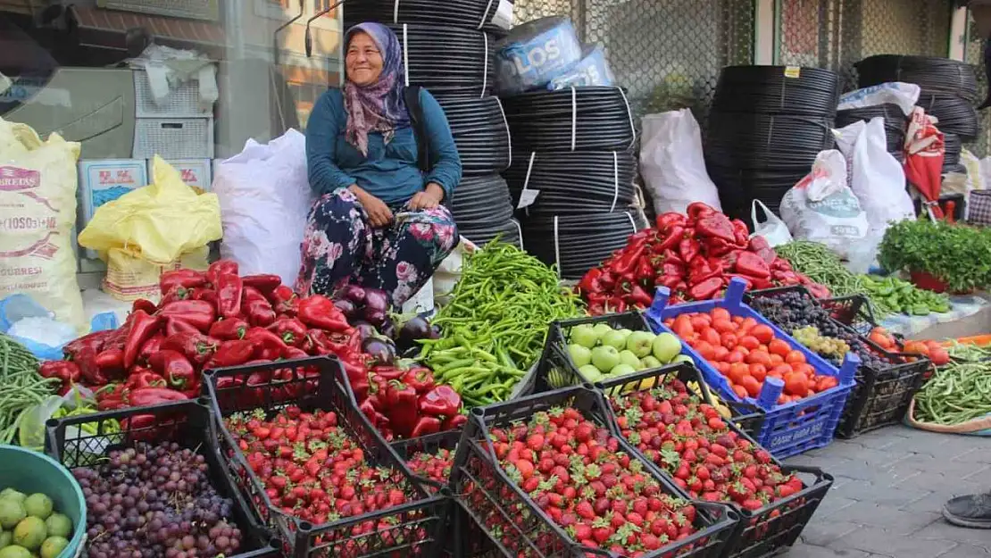 Kaz Dağları'nda yetişen organik ürünler ilçe pazarında satılıyor