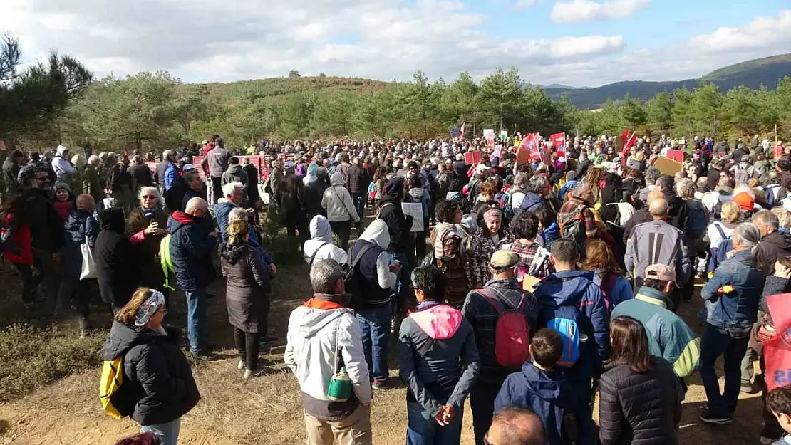 Kaz Dağları'ndaki ağaç kesimine çevrecilerden tepki