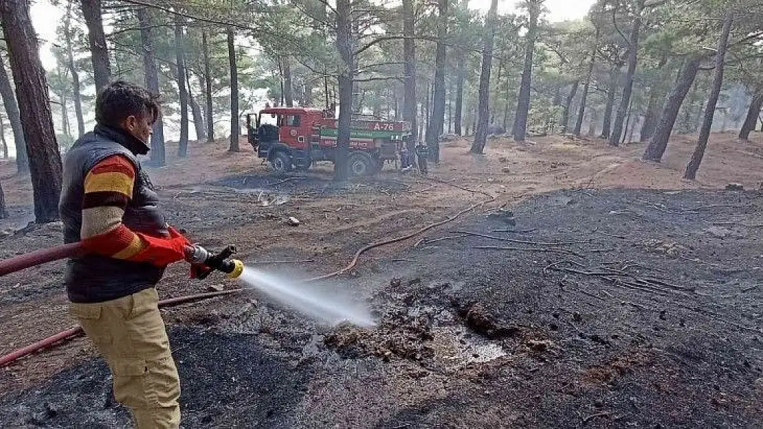 Kazdağları'nda 7 hektar ormanlık alan yangında zarar gördü