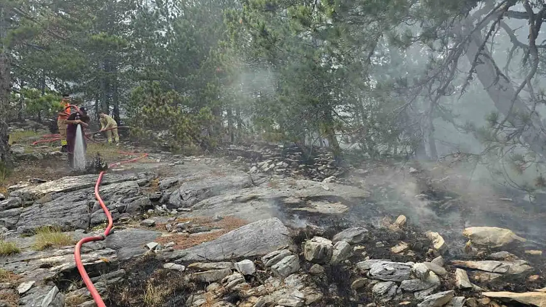 Kazdağları'nda yangına havadan müdahale sürüyor