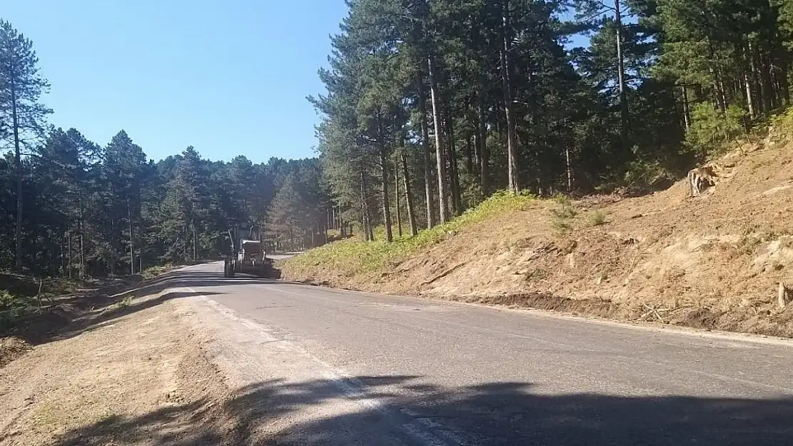 Kazdağları'nın ortasından geçen kara yolunda yangın şeridi oluşturuldu