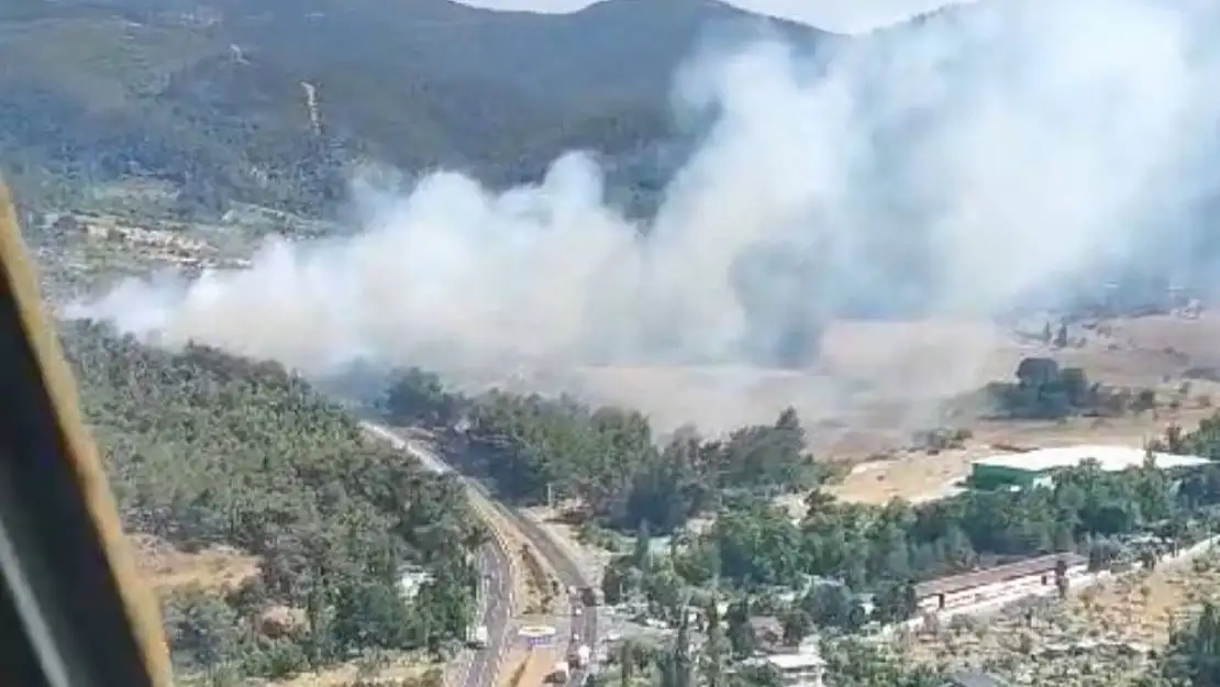 Kemalpaşa'da orman yangını