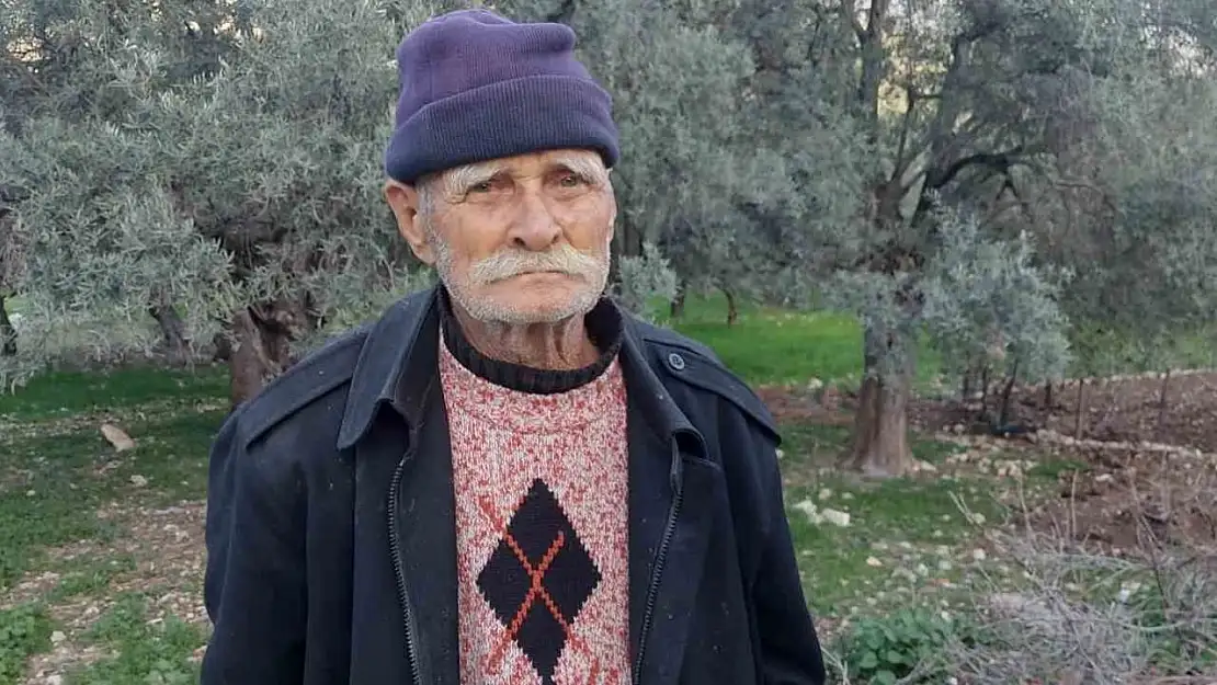 Kendi diktiği zeytin ağaçlarını korumak için başka bahçesine nakletmek istedi, başına gelmeyene kalmadı