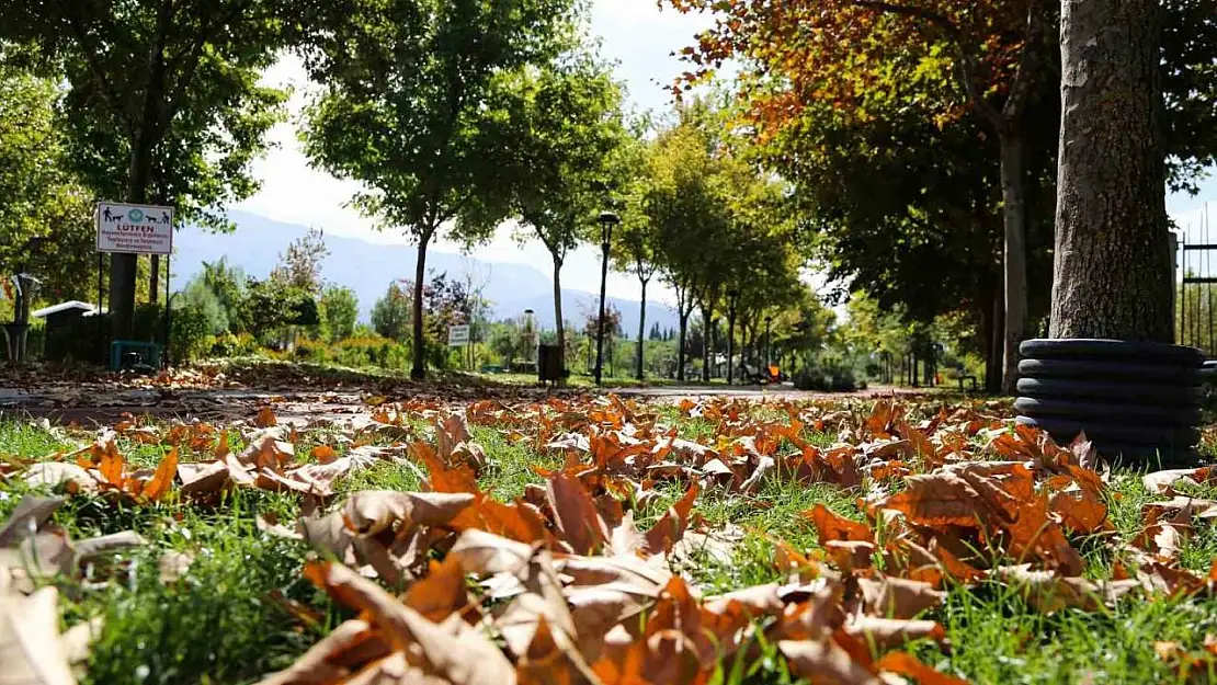 Kent Park'ta sonbahar manzaraları mest etti