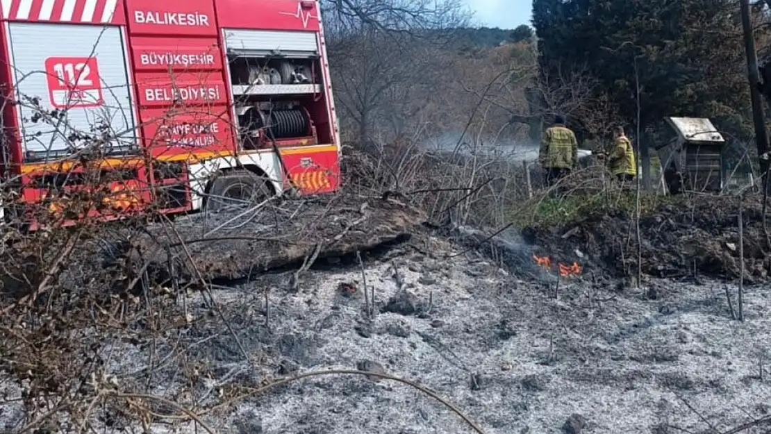 Kepsut'ta çıkan arazi yangını korkuttu