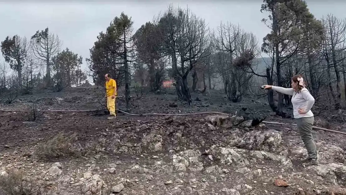 Kepsut'ta çıkan yangının ilerlemesi durdu, soğutma çalışmaları başlıyor