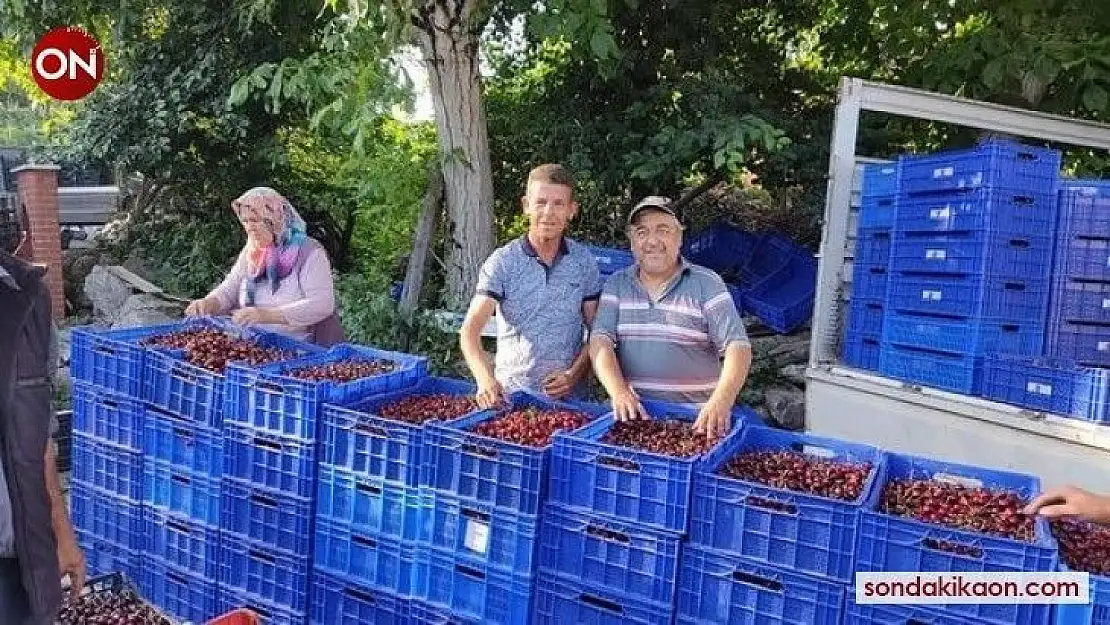 Kirazın merkezi Bigadiç'te sezon sona erdi