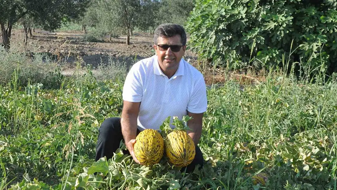 Kırkağaç Kavunu AB'den tescil alan 38. ürün oldu