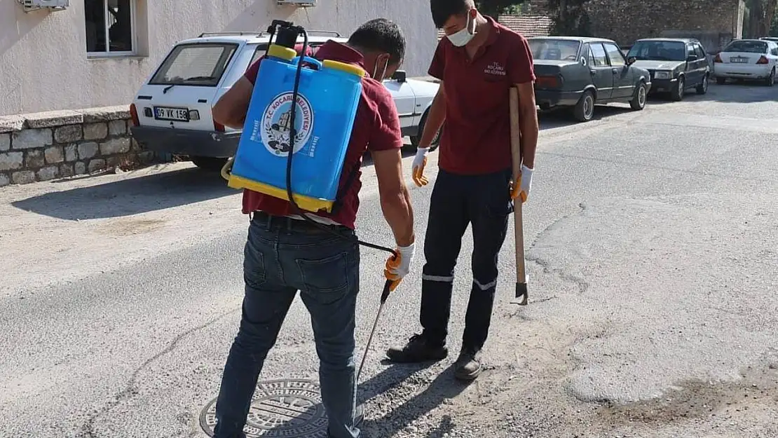 Koçarlı Belediyesi, haşereyle mücadelede 24 saat kesintisiz hizmet veriyor