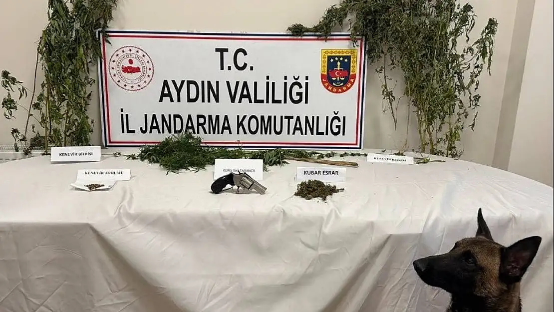 Koçarlı'da uyuşturucu baskını: 1 gözaltı