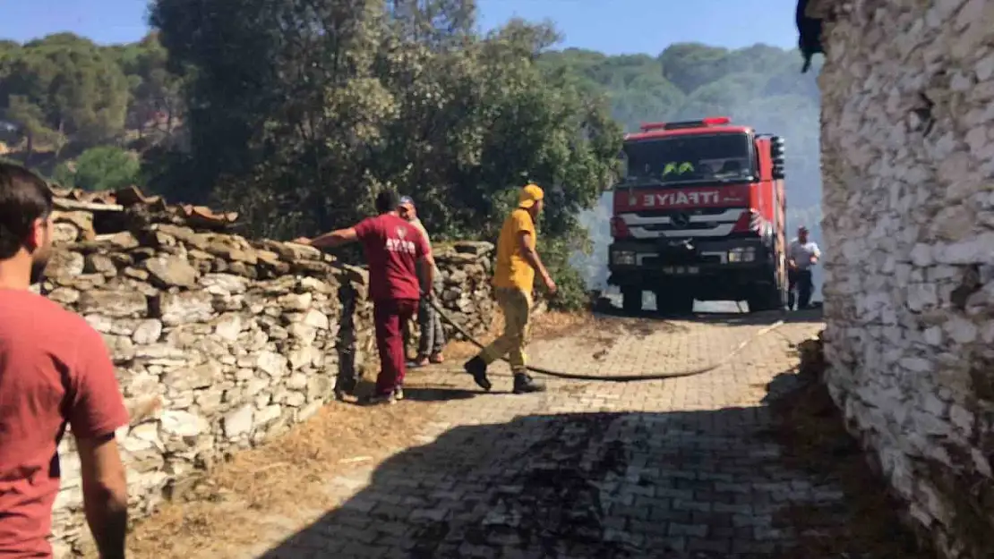 Koçarlı'daki yangın kontrol altına alındı