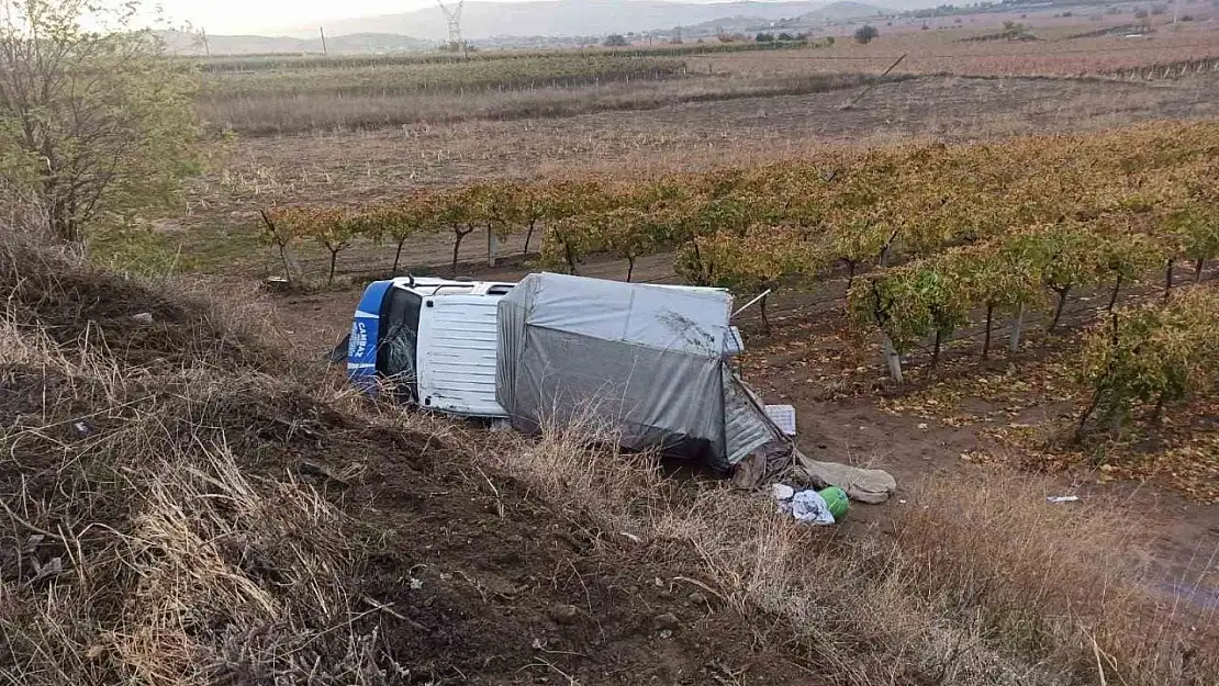 Kontrolden çıkan kamyonet üzüm bağına devrildi: 5 yaralı