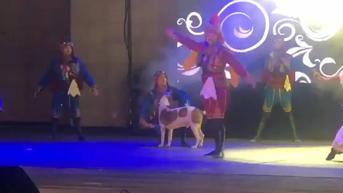 Köpek sahneye daldı, dansçılar şaşkına döndü