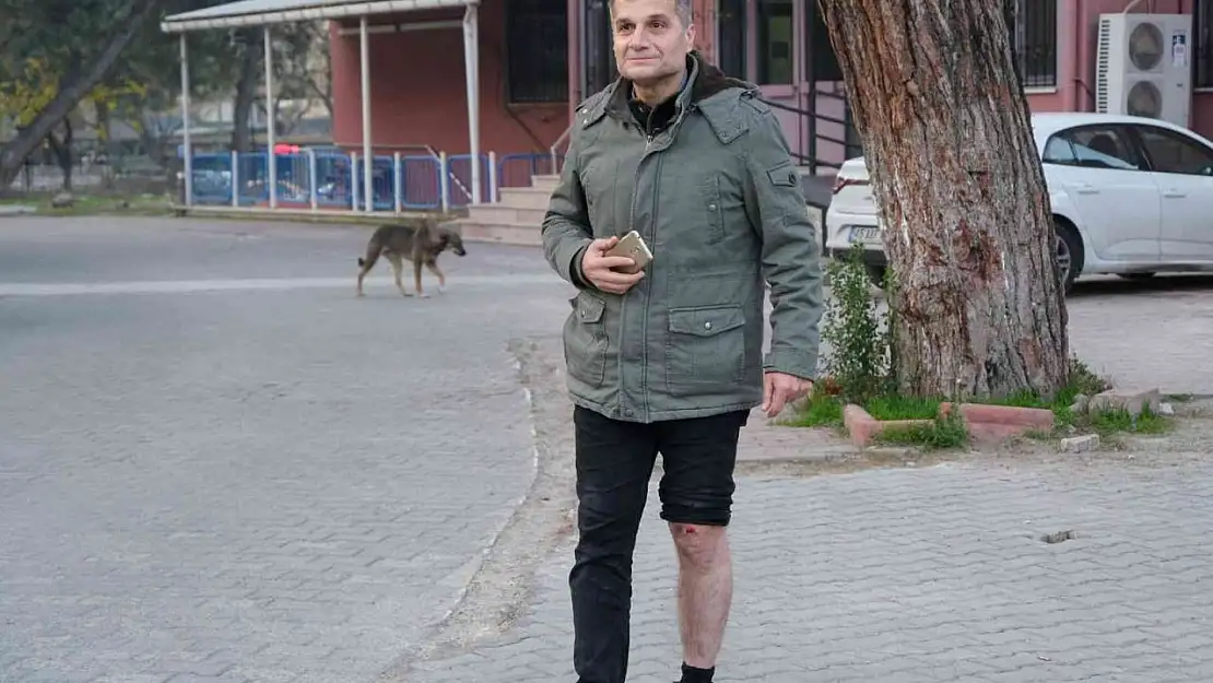 Köpeklerin saldırısına uğrayan bir kişi düşerek yaralandı