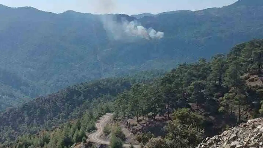 Köyceğiz'de orman yangını