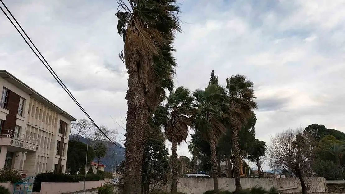 Köyceğiz'de rüzgar ve fırtına etkisini sürdürüyor