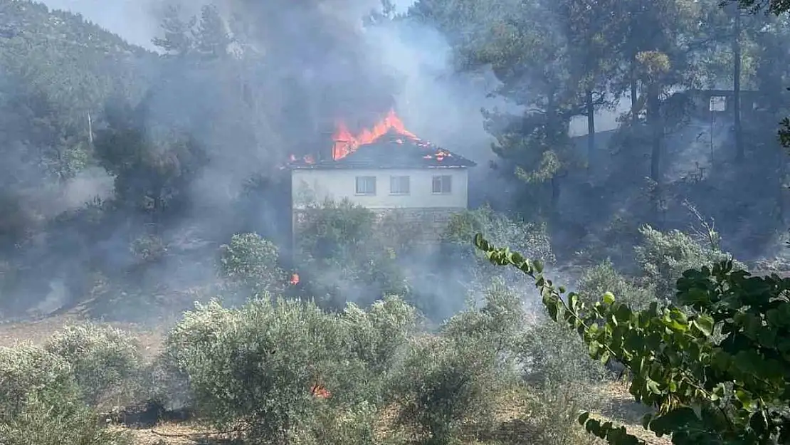 Köyceğiz'deki yangın kontrol altına alındı