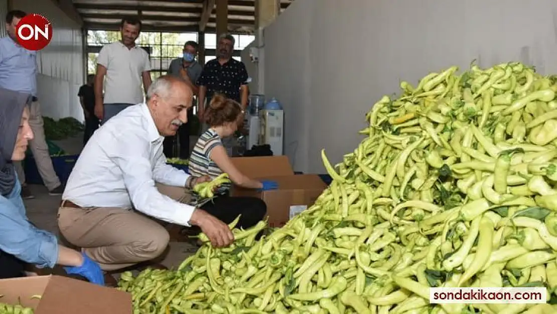 Köylü kadınlara özel pazaryeri yapılıyor