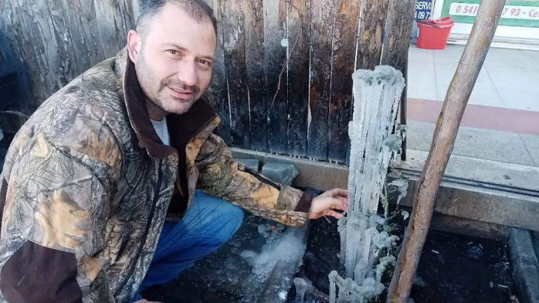 Küçükkuyu'da fidanlar buz tuttu