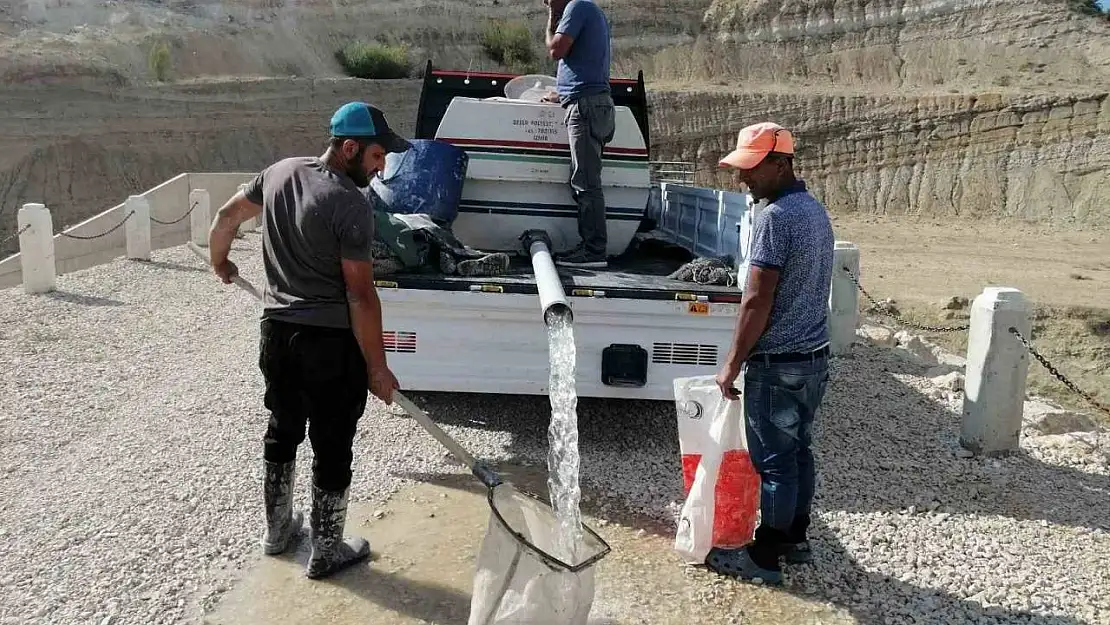 Kuruyan göldeki balıklar balçığın içerisinden kurtarıldı