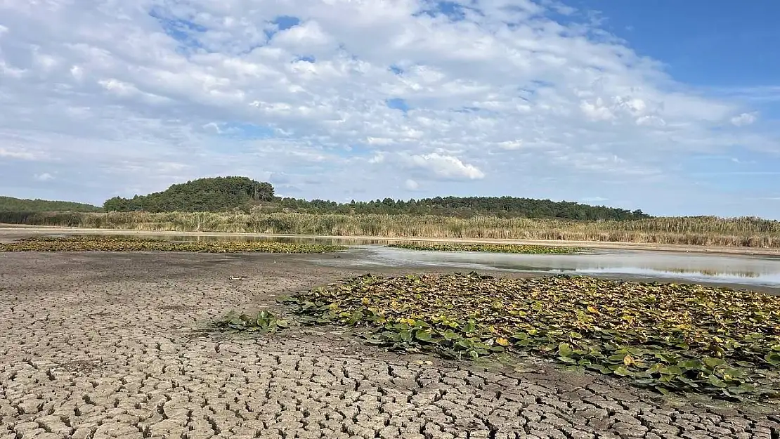 Kuruyan Süleymanlı Yayla Gölü'ndeki acı manzara ziyaretçileri üzdü