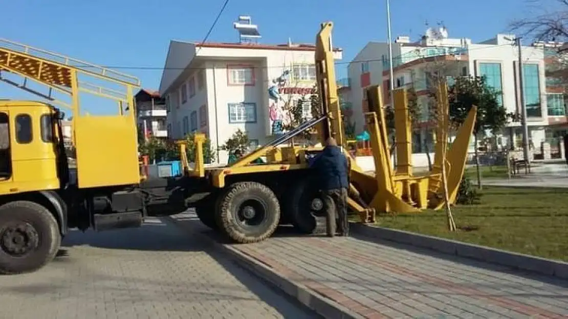 Kuşadası Belediyesi 547 ağacı kesilmekten kurtardı