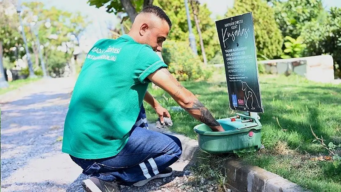 Kuşadası Belediyesi mevsim normalleri üzerinde seyrden sıcaklar nedeniyle sokak hayvanları için sulukların sayısını arttırdı