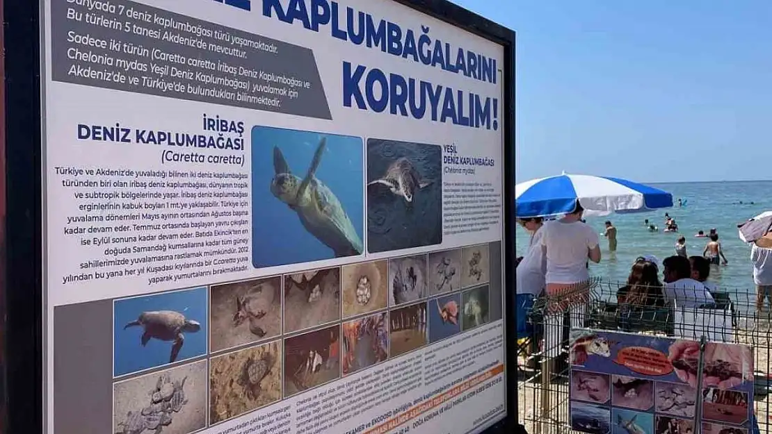Kuşadası Belediyesi'nden Caretta Caretta yuvaları için bir önlem daha