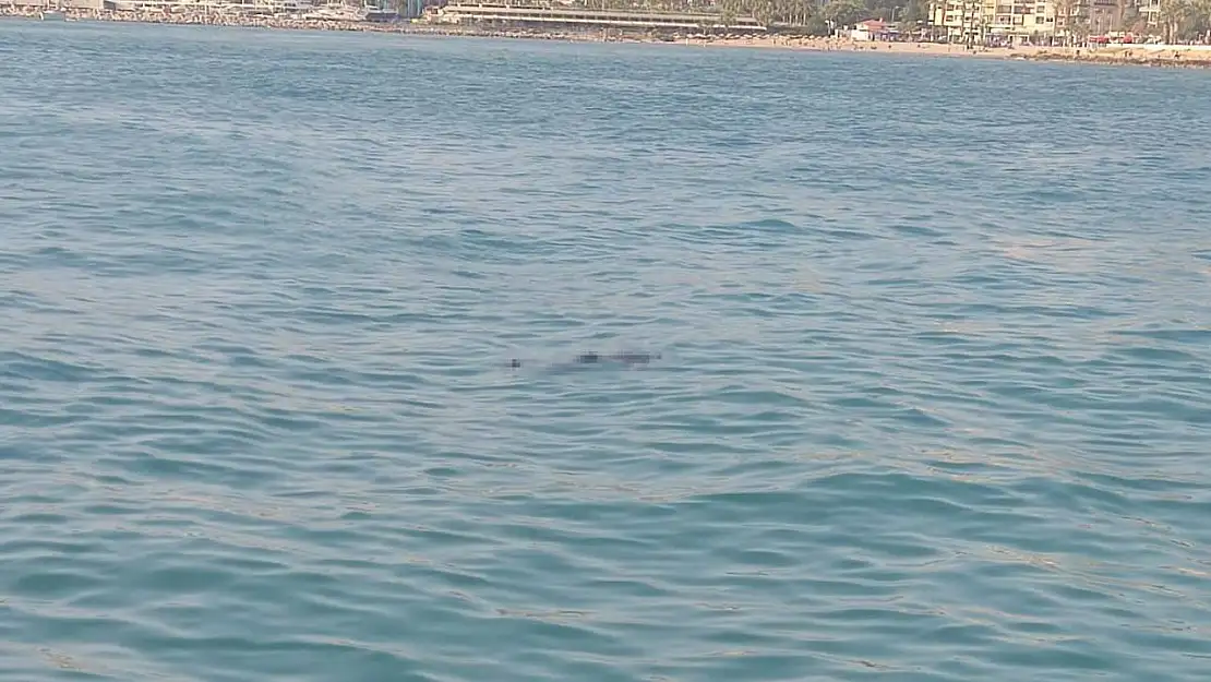 Kuşadası'nda denizde ceset bulundu