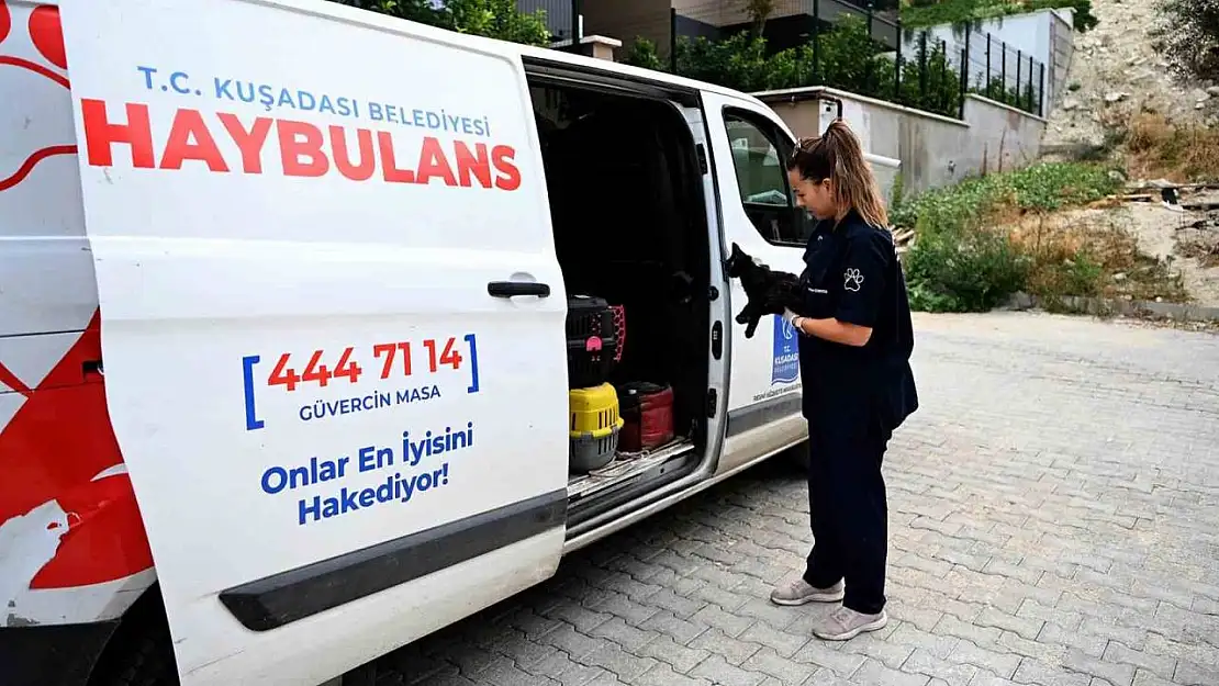 Kuşadası'nda Haybulans 16 bin 614 can dostun yardımına koştu