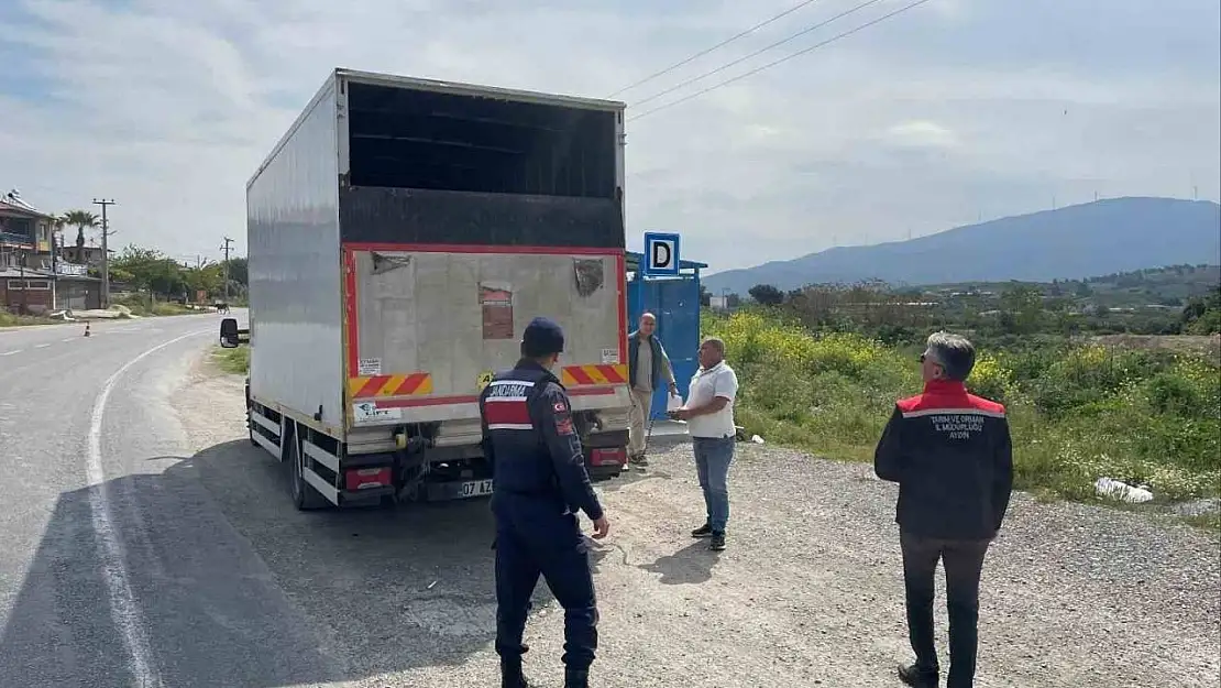 Kuşadası'nda hayvan hırsızlığına karşı sıkı takip