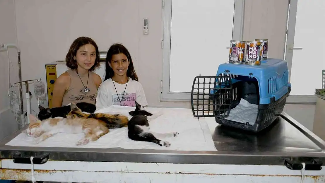 Kuşadası'nda patili dostlar için kalpleri ısıtan yardımlaşma