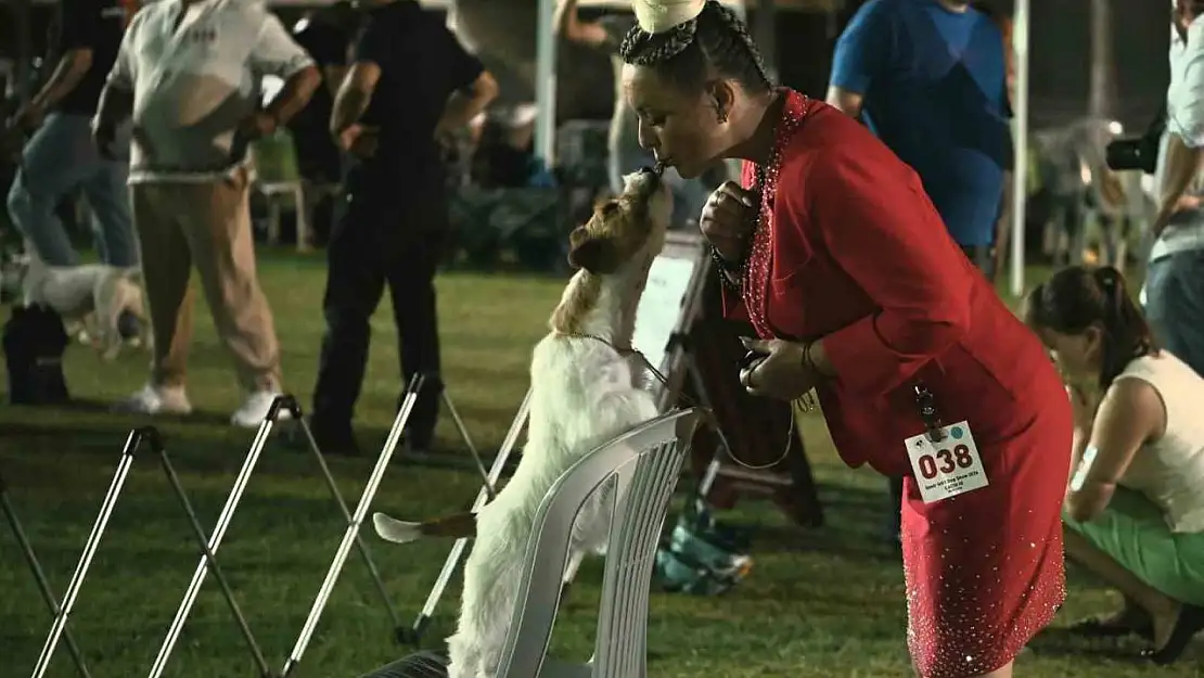 Kuşadası'nda renkli köpek şöleni: 'International Dog Show' sona erdi