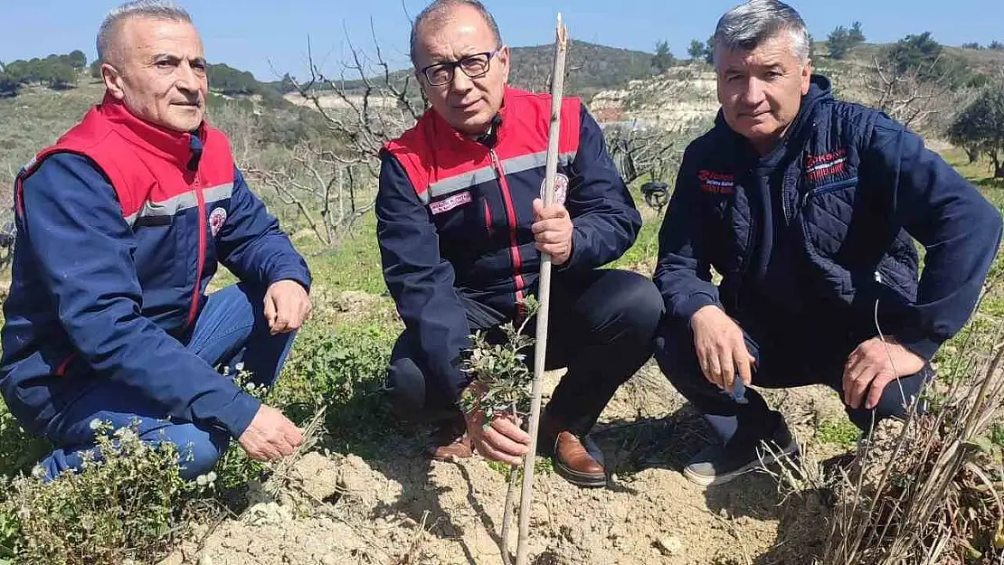Kuşadası ve Didim'de 540 adet sakız fidanları toprakla buluştu