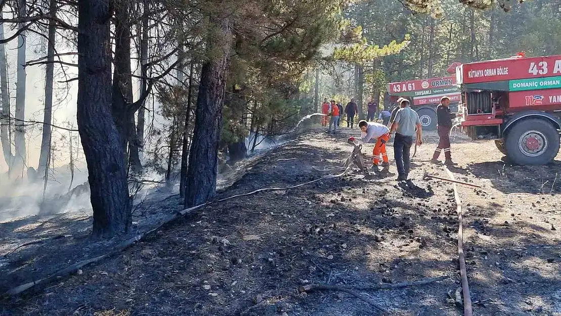 Kütahya'da anız yangını ormana sıçradı