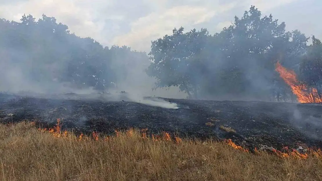 Kütahya'da arazi yangını