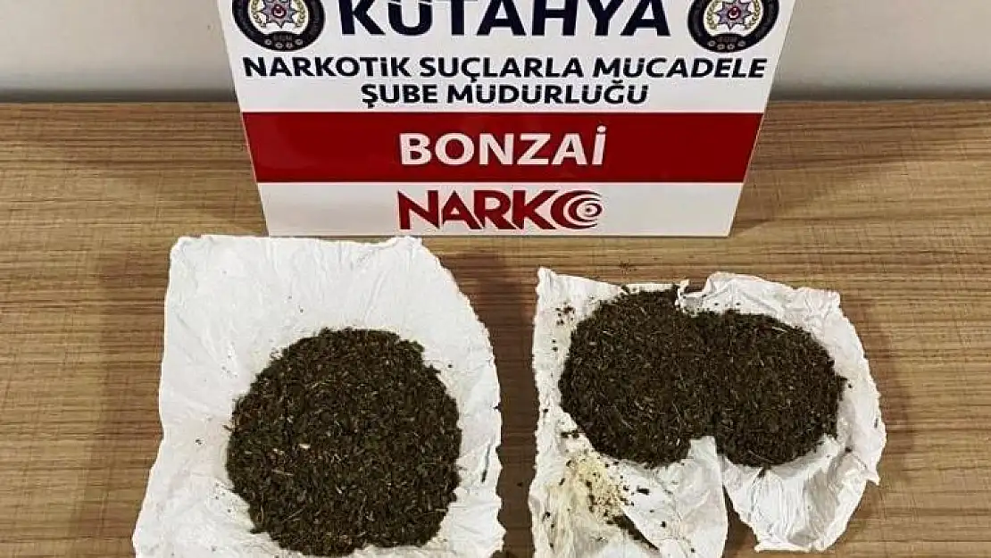 Kütahya'da bir şüphelinin üzerinde bonzai ele geçirildi