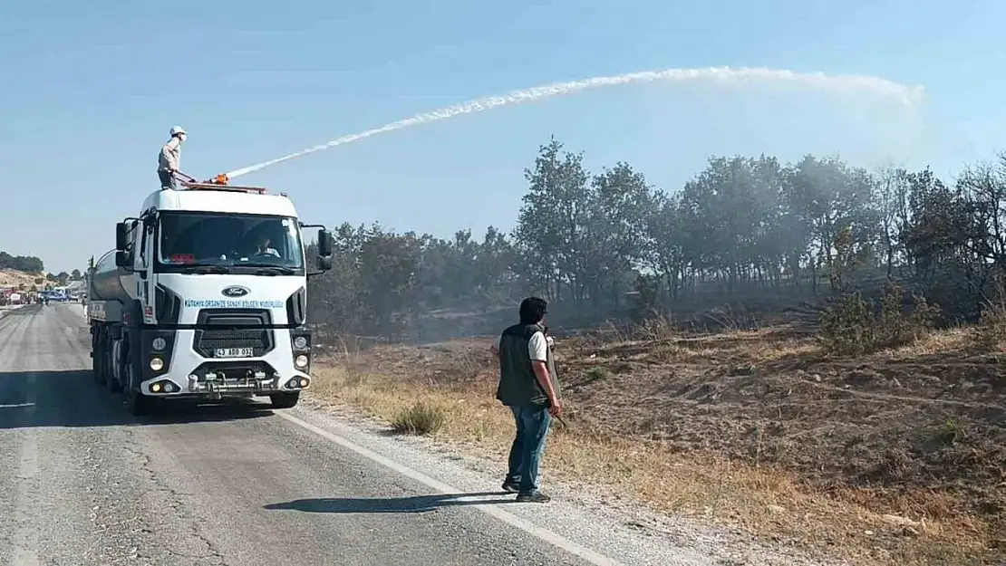 Kütahya'da çıkan orman yangını kontrol altına alındı