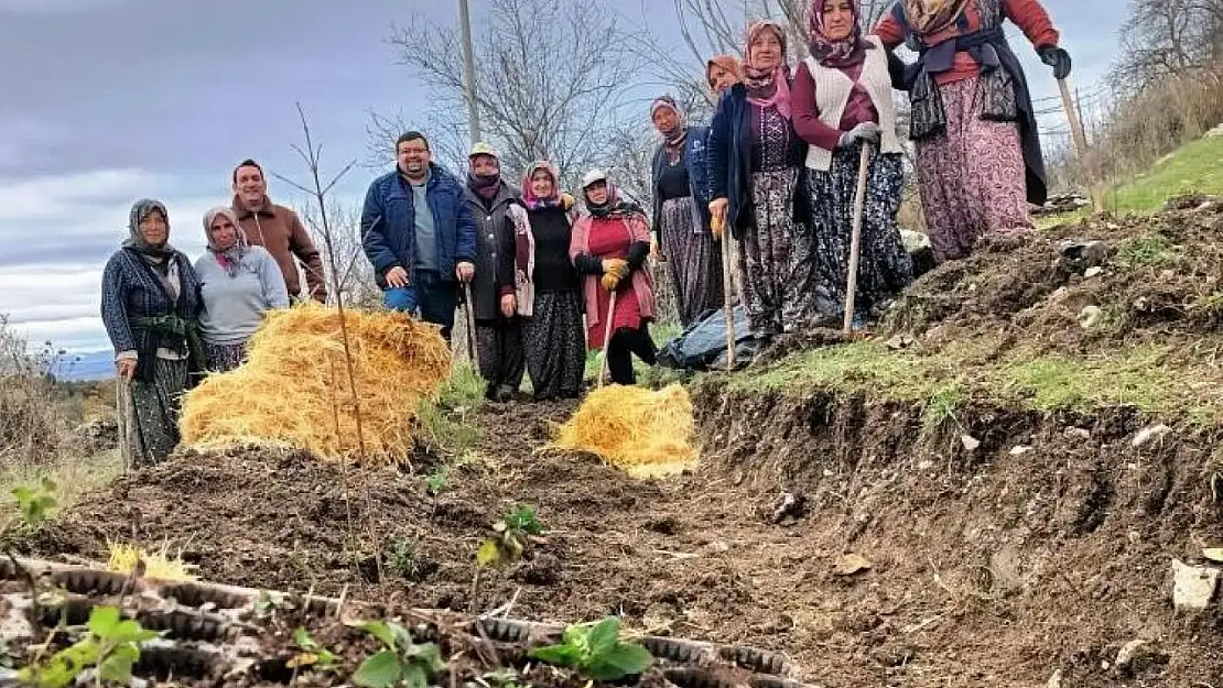 Kütahya'da gıda ormanı çalışması