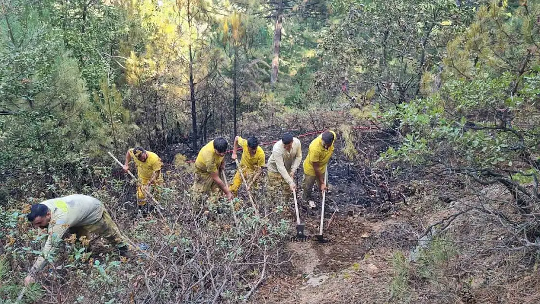 Kütahya'da iddiaya göre depoda çıkan yangın Kestane Dağı eteklerine sıçradı