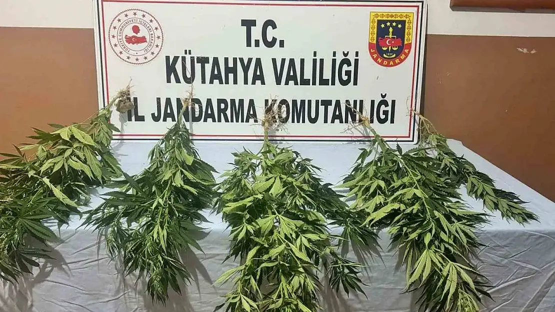 Kütahya'da jandarmadan uyuşturucu operasyonu: 2 gözaltı