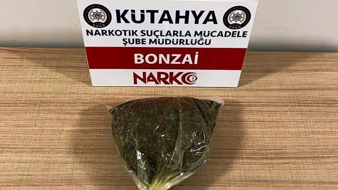 Kütahya'da metamfetamin ve bonzai maddesi ele geçirildi