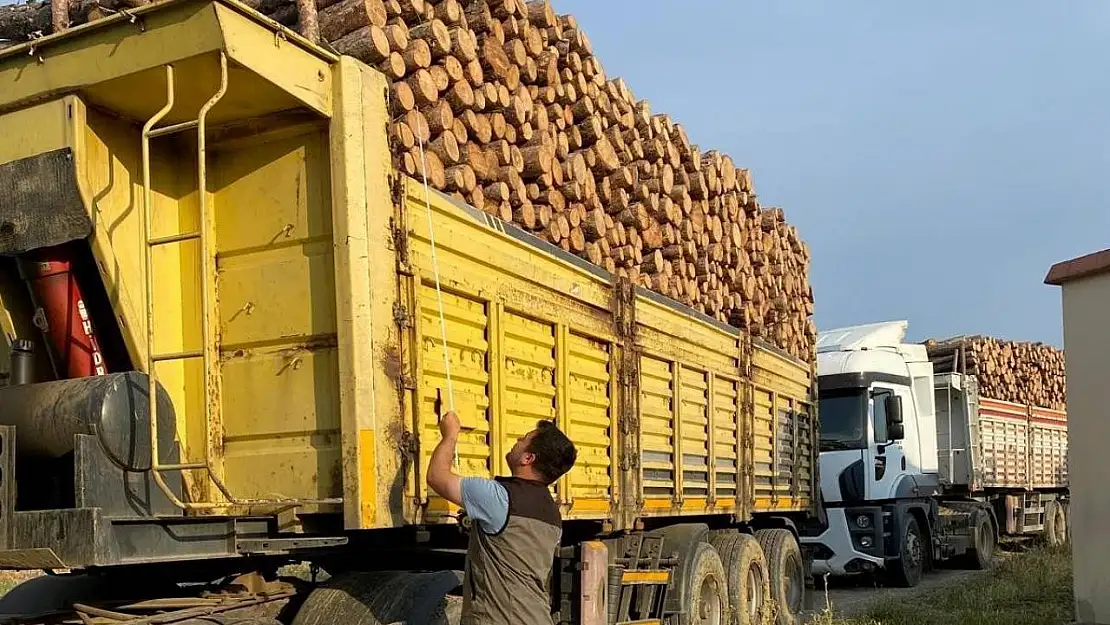 Kütahya'da orman emvali yüklü araçlarda 'Mobil Denetim'