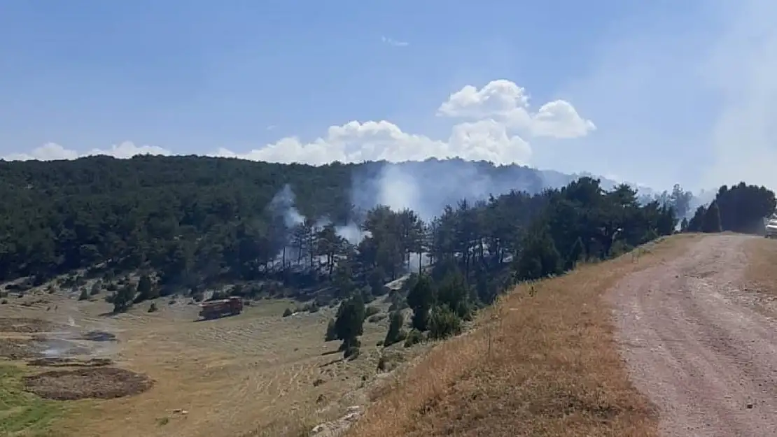 Kütahya'da orman yangını kontrol altına alındı