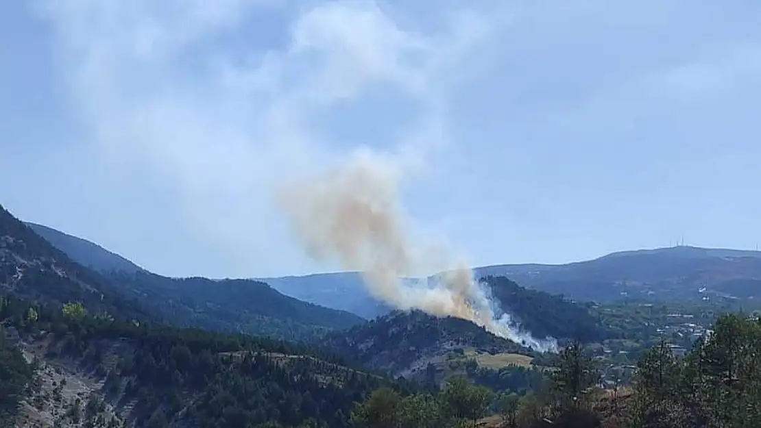 Kütahya'da orman yangını