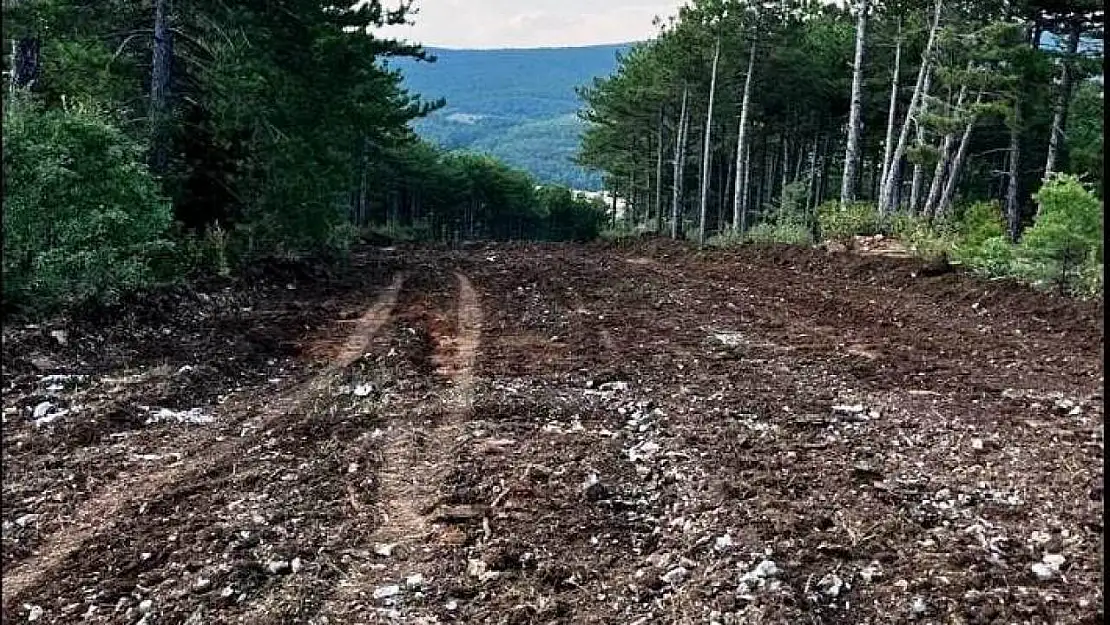 Kütahya'da orman yangınları ile mücadele çalışmaları