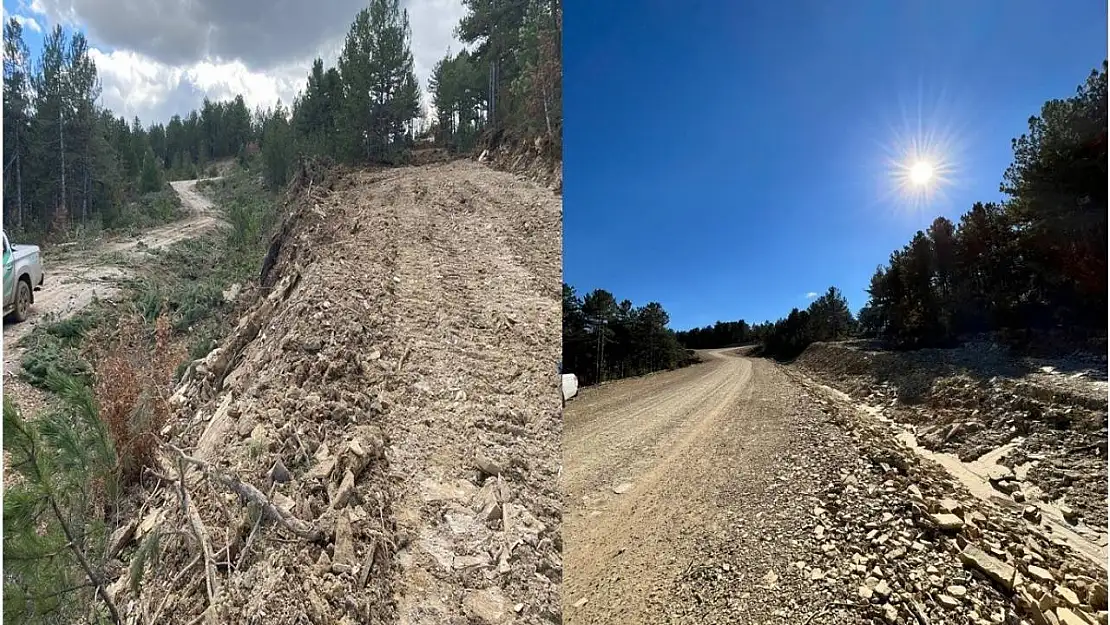 Kütahya'da orman yangınları riskini azaltma çalışmaları