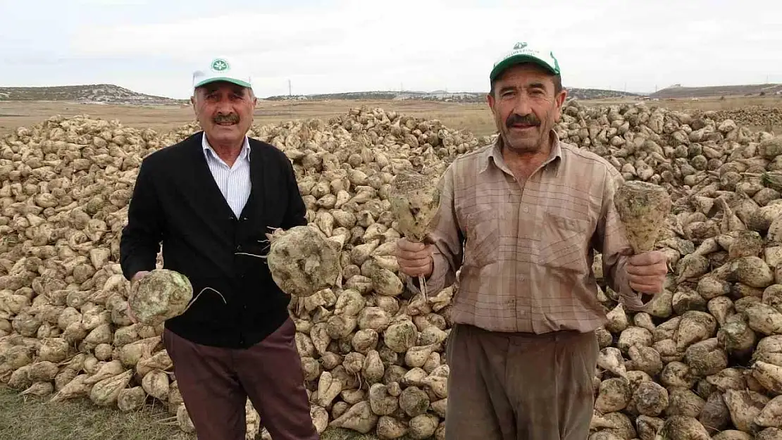 Kütahya'da pancar hasadı başladı